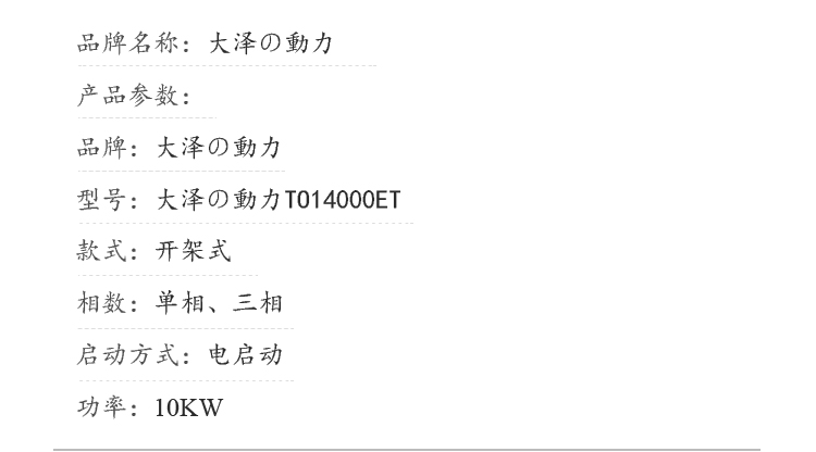 日本大泽10kw柴油电机