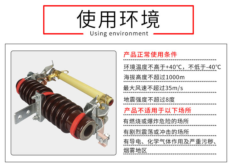 RW11-10kv_03