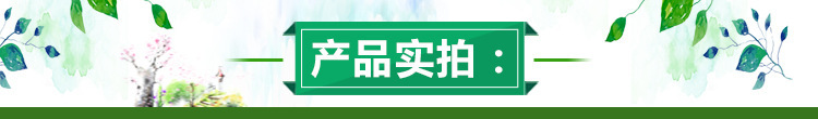 桃树苗 优质桃树苗新品种 秋彤桃树苗价格 大量出售映霜红桃树苗示例图1