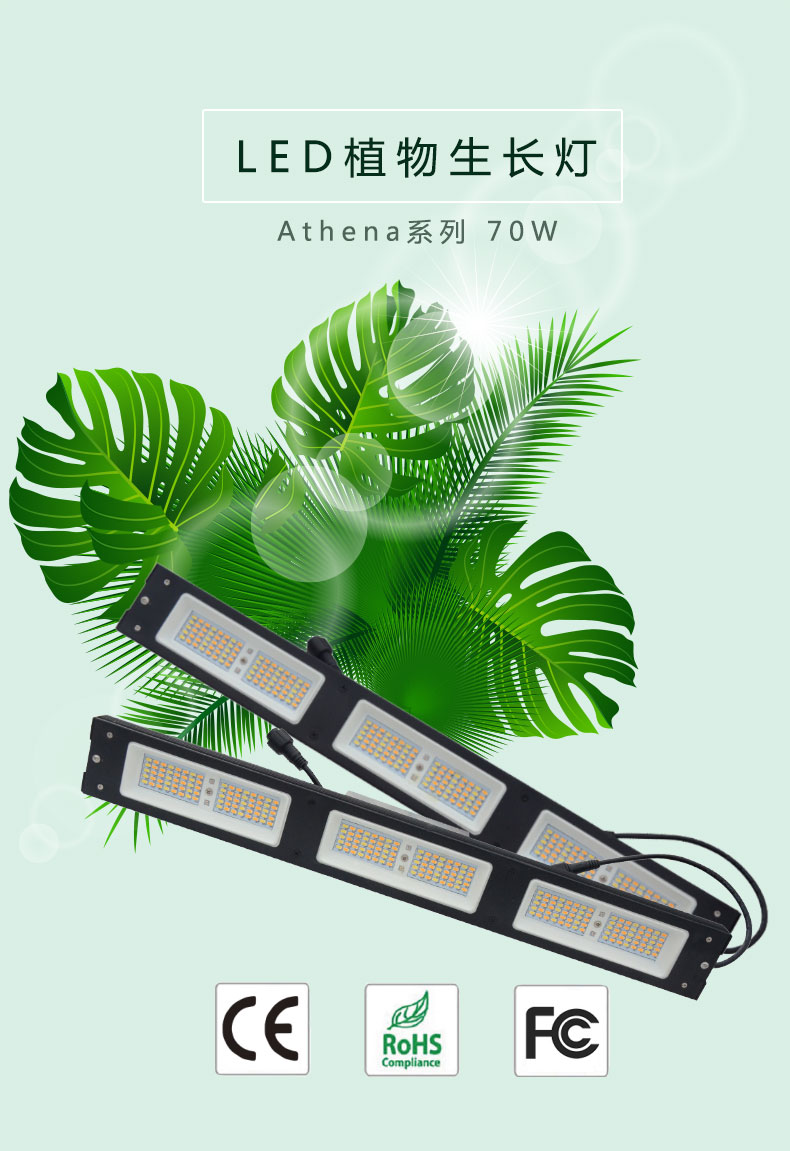 CY-Athena系列70w植物生长灯_01