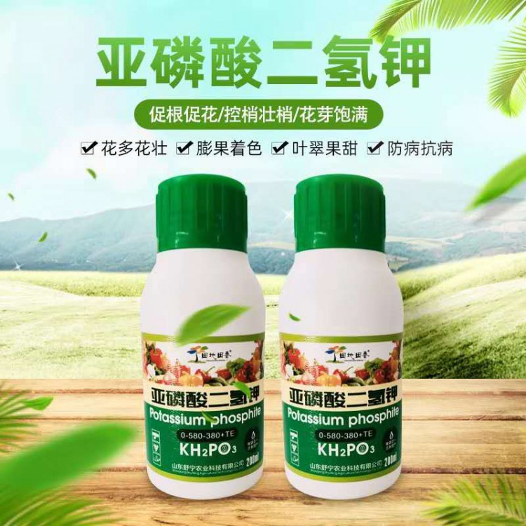 花多花壮 控梢壮梢 膨果着色 亚磷酸二氢钾蔬菜叶面肥